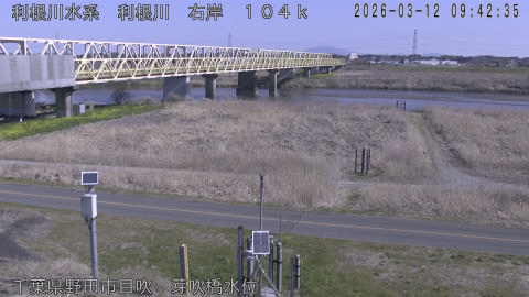 tonme2026031210_image