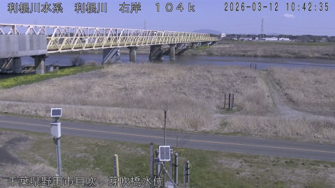 tonme2026031211_image