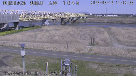 tonme2026031212_image