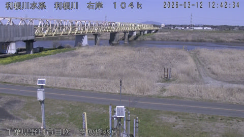 tonme2026031213_image