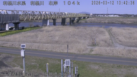 tonme2026031214_image