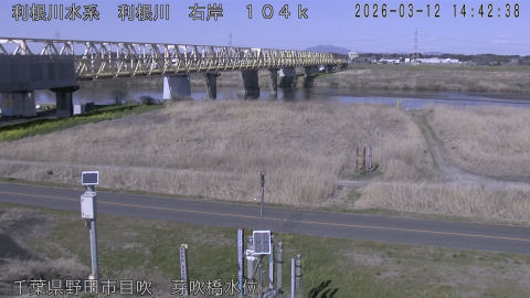 tonme2026031215_image