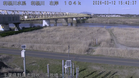 tonme2026031216_image