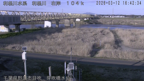 tonme2026031217_image