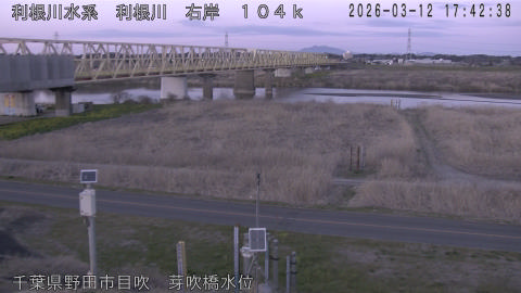 tonme2026031218_image