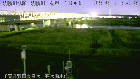 tonme2026031219_image