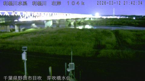 tonme2026031222_image