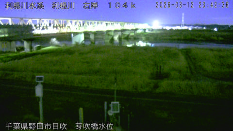 tonme2026031300_image