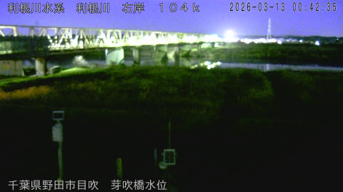 tonme2026031301_image