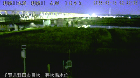 tonme2026031303_image