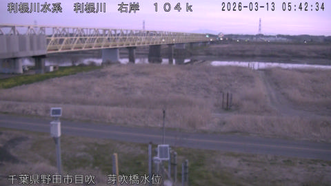 tonme2026031306_image