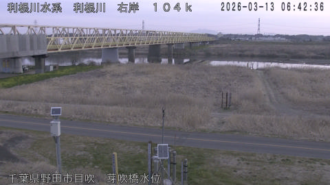 tonme2026031307_image