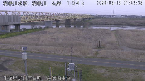 tonme2026031308_image