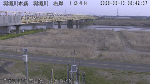 tonme2026031309_image