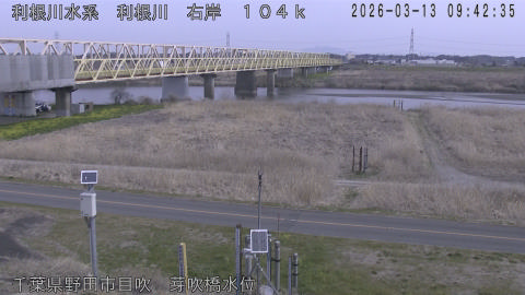 tonme2026031310_image