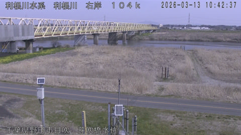 tonme2026031311_image