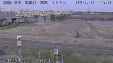 tonme2026031312_image