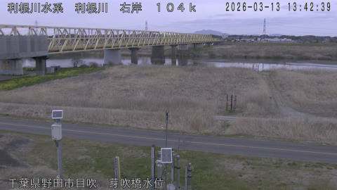 tonme2026031314_image