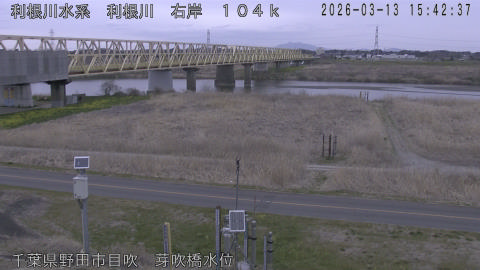 tonme2026031316_image