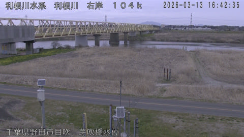 tonme2026031317_image