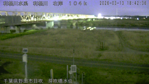 tonme2026031319_image