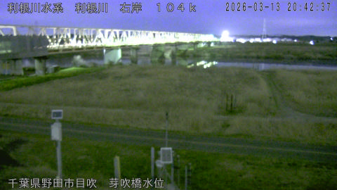 tonme2026031321_image