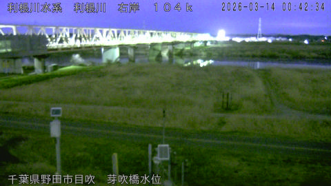 tonme2026031401_image