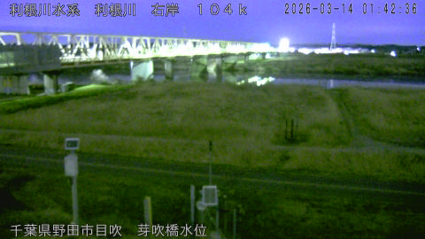 tonme2026031402_image