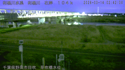 tonme2026031403_image