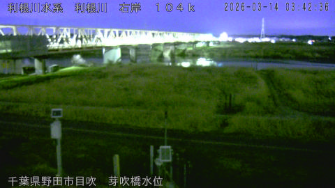 tonme2026031404_image