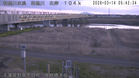 tonme2026031406_image