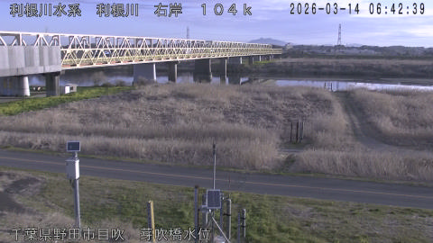 tonme2026031407_image