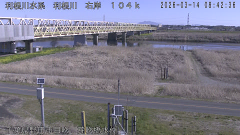 tonme2026031409_image