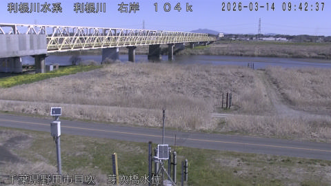 tonme2026031410_image