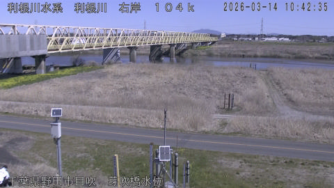 tonme2026031411_image