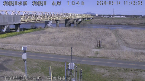 tonme2026031412_image