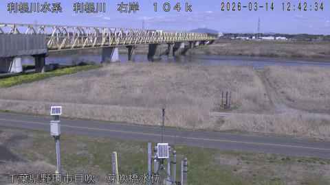 tonme2026031413_image