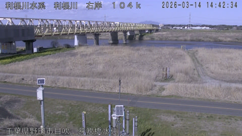 tonme2026031415_image