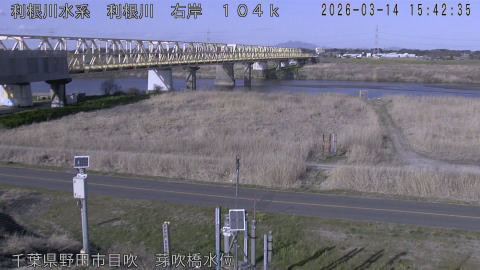 tonme2026031416_image