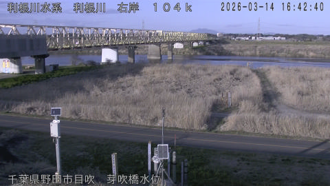 tonme2026031417_image