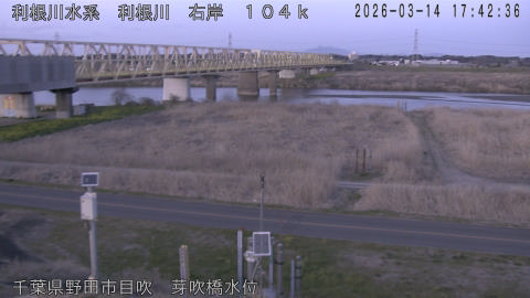 tonme2026031418_image