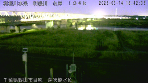 tonme2026031419_image