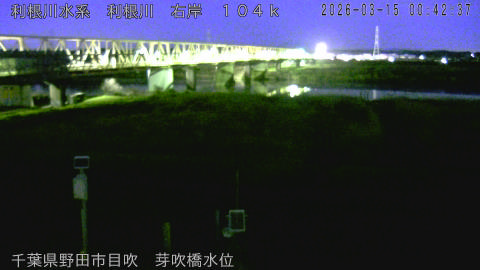 tonme2026031501_image