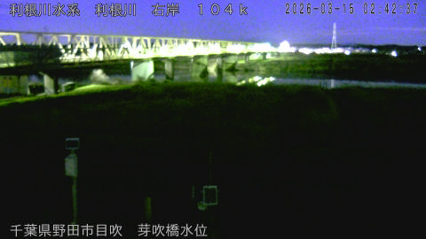 tonme2026031503_image