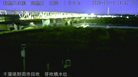 tonme2026031505_image