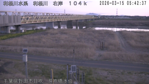 tonme2026031506_image