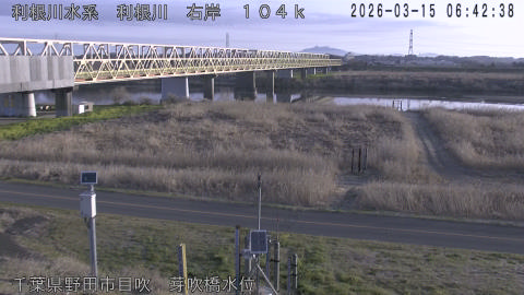 tonme2026031507_image