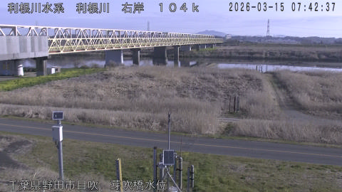 tonme2026031508_image