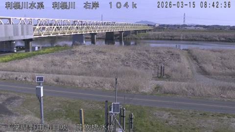 tonme2026031509_image