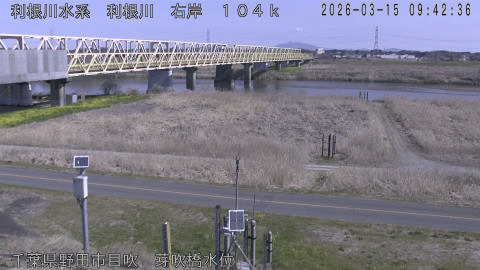 tonme2026031510_image